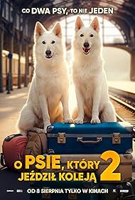 تماشای آنلاین فیلم The Dog Who Travelled by Train 2 - سگ قطار سوار 2