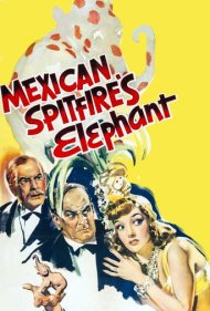 دانلود فیلم Mexican Spitfire's Elephant سال 1942 - فیل زن آتشینمزاج مکزیکی