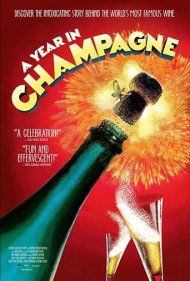 دانلود فیلم A Year in Champagne سال 2014 - یک سال در شامپاین