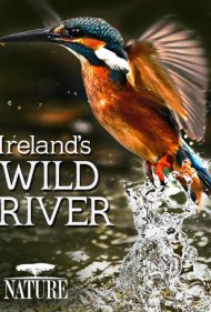 Ireland's Wild River 2014