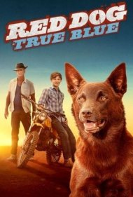 دانلود فیلم Red Dog: True Blue سال 2016 - سگ قرمز: آبی واقعی