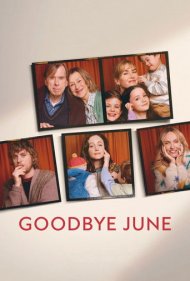 دانلود دوبله فارسی فیلم Goodbye June سال 2025 - خداحافظ ژوئن