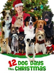 دانلود فیلم 12 Dog Days Till Christmas سال 2014 - ۱۲ روز سگی تا کریسمس