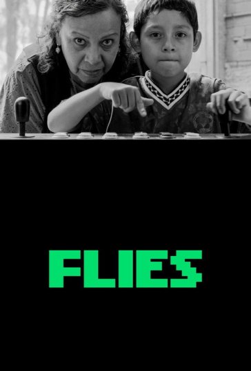 Flies