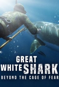 دانلود فیلم Great White Shark: Beyond the Cage of Fear سال 2013 - کوسه سفید بزرگ: فراتر از قفس ترس