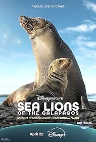 دانلود دوبله فارسی فیلم Sea Lions of the Galapagos سال 2025 - شیرهای دریایی گالاپاگوس