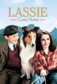 دانلود فیلم Lassie Come Home سال 1943 - لسی به خانه برمی‌گردد