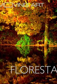 دانلود فیلم Moving Art: Forests سال 2014 - هنر پویا: جنگلها