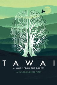 دانلود فیلم Tawai: A Voice from the Forest سال 2017 - تاوای : صدایی از جنگل