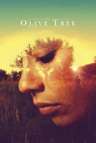 The Olive Tree 2016