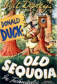 Old Sequoia 1945