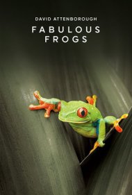 دانلود فیلم Fabulous Frogs سال 2014 - قورباغههای شگفتانگیز
