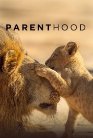 Parenthood