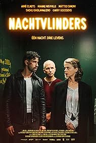 Nachtvlinders