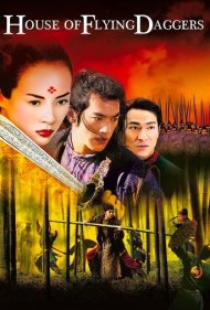 House of Flying Daggers 2004