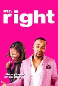 دانلود فیلم Mr. Right سال 2015 - آقای فوقالعاده