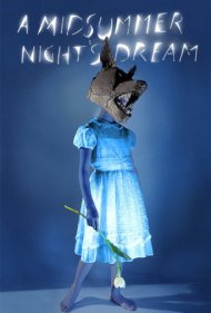 دانلود فیلم A Midsummer Night's Dream سال 2014 - رویای شب نیمه تابستان