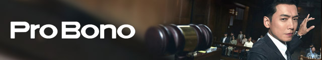 Pro Bono