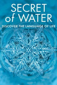 دانلود فیلم Secret of Water سال 2015 - راز آب