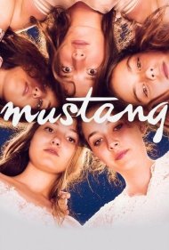 دانلود فیلم Mustang سال 2015 - اسب وحشی