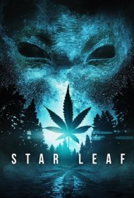 Star Leaf 2015