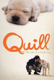 دانلود فیلم Quill: The Life of a Guide Dog سال 2004 - کویل: زندگی یک سگ راهنما