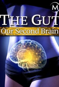 دانلود فیلم The Gut: Our Second Brain سال 2014 - روده: مغز دوم ما