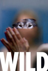 دانلود فیلم Wild سال 2016 - وحشی
