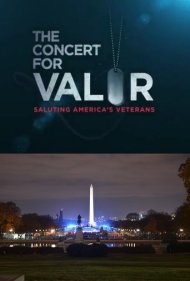The Concert for Valor 2014