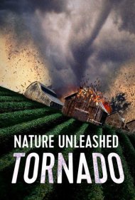 دانلود فیلم Nature Unleashed: Tornado سال 2005 - خشم طبیعت: گردباد