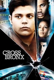 دانلود فیلم Cross Bronx سال 2004 - کراس برانکس