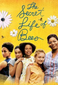 The Secret Life of Bees 2008