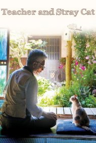 دانلود فیلم Teacher and Stray Cat سال 2015 - معلم و گربه ولگرد