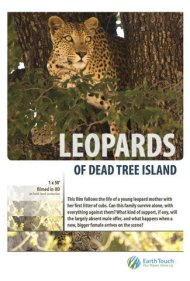 دانلود فیلم Leopards of Dead Tree Island سال 2010 - پلنگهای جزیره درخت مرده