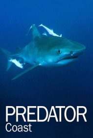 دانلود فیلم Predator Coast سال 2012 - ساحل شکارچیان