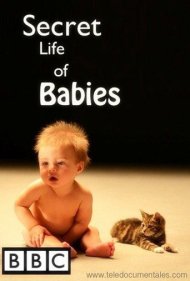 دانلود فیلم Secret Life of Babies سال 2014 - زندگی مخفی نوزادان