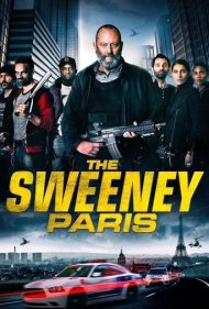 دانلود دوبله فارسی فیلم The Sweeney: Paris سال 2015 - جرم ستیز