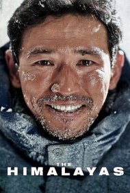 The Himalayas 2015