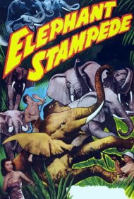 Elephant Stampede 1951