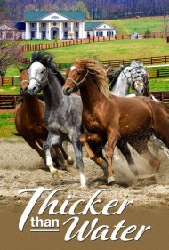 دانلود فیلم Thicker Than Water سال 2005 - غلیظتر از خون