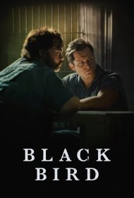 دانلود دوبله فارسی فیلم Black Bird سال 2022 - پرنده سیاه