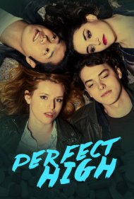 دانلود فیلم Perfect High سال 2015 - اوج کامل