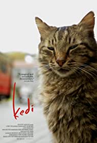 دانلود دوبله فارسی فیلم Kedi سال 2016 - گربه