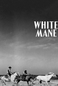 دانلود فیلم White Mane سال 1953 - یال سفید
