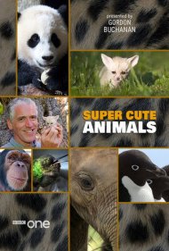 دانلود فیلم Super Cute Animals سال 2015 - حیوانات فوقالعاده بامزه