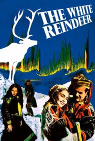 دانلود فیلم The White Reindeer سال 1952 - گوزن سفید
