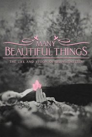 دانلود فیلم Many Beautiful Things سال 2015 - بسیاری از چیزهای زیبا