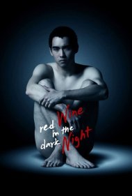 دانلود فیلم Red Wine in the Dark Night سال 2015 - شراب قرمز در شب تاریک