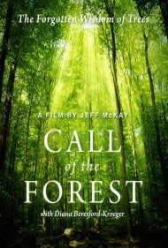 دانلود فیلم Call of the Forest: The Forgotten Wisdom of Trees سال 2016 - ندای جنگل: خرد فراموش‌شده درختان