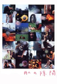 A Gap in the Skin 2005